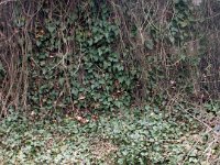 427 - 429 Polgár - Heinrich - Slona